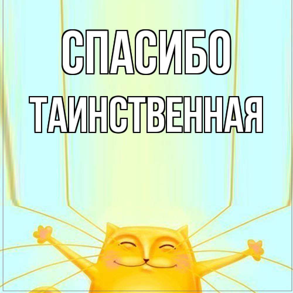 Открытка на каждый день с именем, таинственная Спасибо кот с усами благодарит Прикольная открытка с пожеланием онлайн скачать бесплатно 