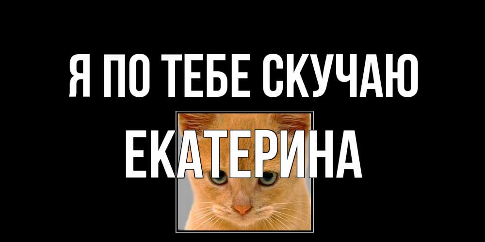 Открытка на каждый день с именем, Екатерина Я по тебе скучаю открытки рыжий котенок скучает по тебе Прикольная открытка с пожеланием онлайн скачать бесплатно 