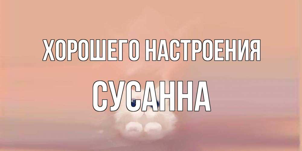 Открытка на каждый день с именем, Сусанна Хорошего настроения кошка Прикольная открытка с пожеланием онлайн скачать бесплатно 