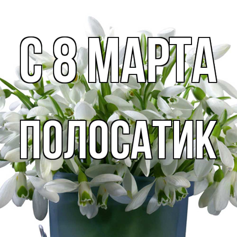 Открытка на каждый день с именем, полосатик C 8 МАРТА цветы к международному женскому дню Прикольная открытка с пожеланием онлайн скачать бесплатно 