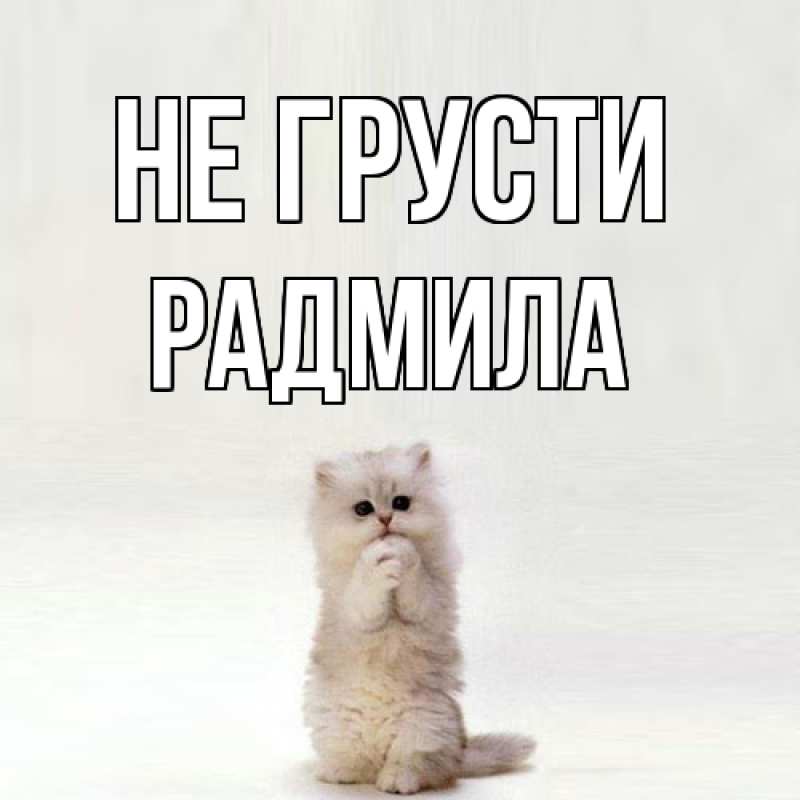 Картинка Не грусти, Радмила