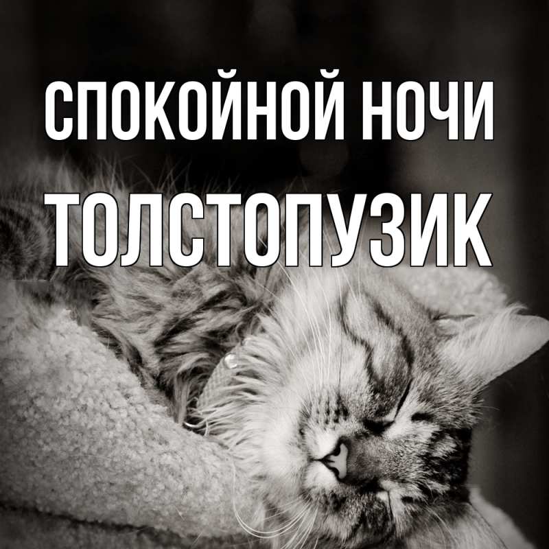 Картинка Спокойной ночи, Толстопузик