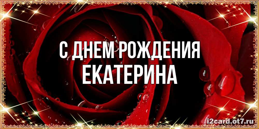 Открытка на каждый день с именем, Екатерина С днем рождения цветок в росе на день рождения Прикольная открытка с пожеланием онлайн скачать бесплатно 