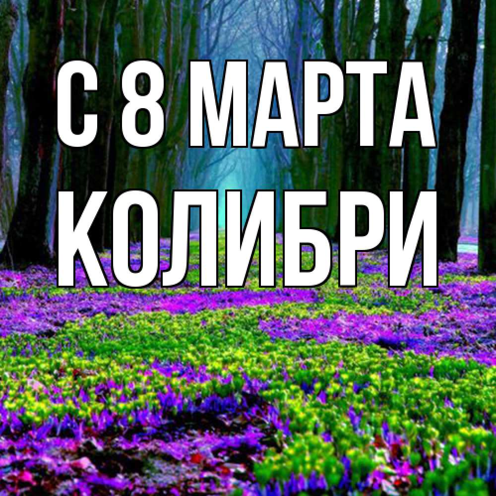 Открытка на каждый день с именем, Колибри C 8 МАРТА фиолетовые цветы в лесу 1 Прикольная открытка с пожеланием онлайн скачать бесплатно 