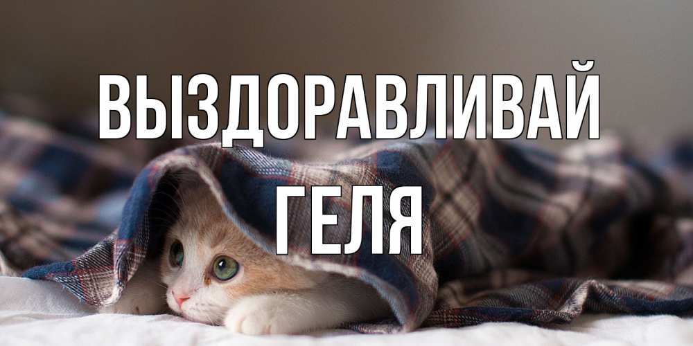 Открытка на каждый день с именем, Геля Выздоравливай не болейте с котиком Прикольная открытка с пожеланием онлайн скачать бесплатно 