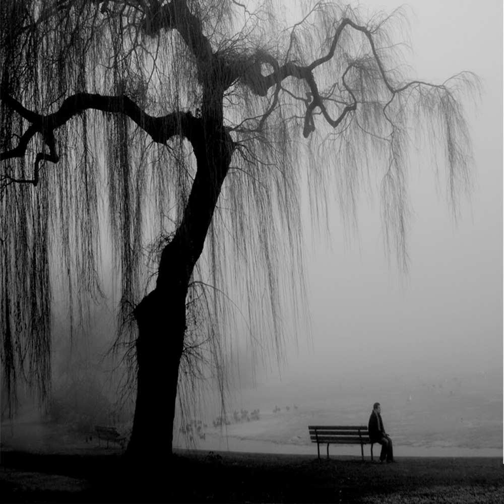 Открытка на каждый день с именем, Чеслава Я по тебе скучаю лавочка под деревом я жду тебя Прикольная открытка с пожеланием онлайн скачать бесплатно 