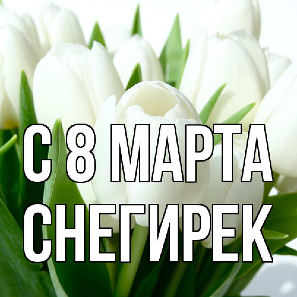 Открытка на каждый день с именем, снегирек C 8 МАРТА цветы Прикольная открытка с пожеланием онлайн скачать бесплатно 