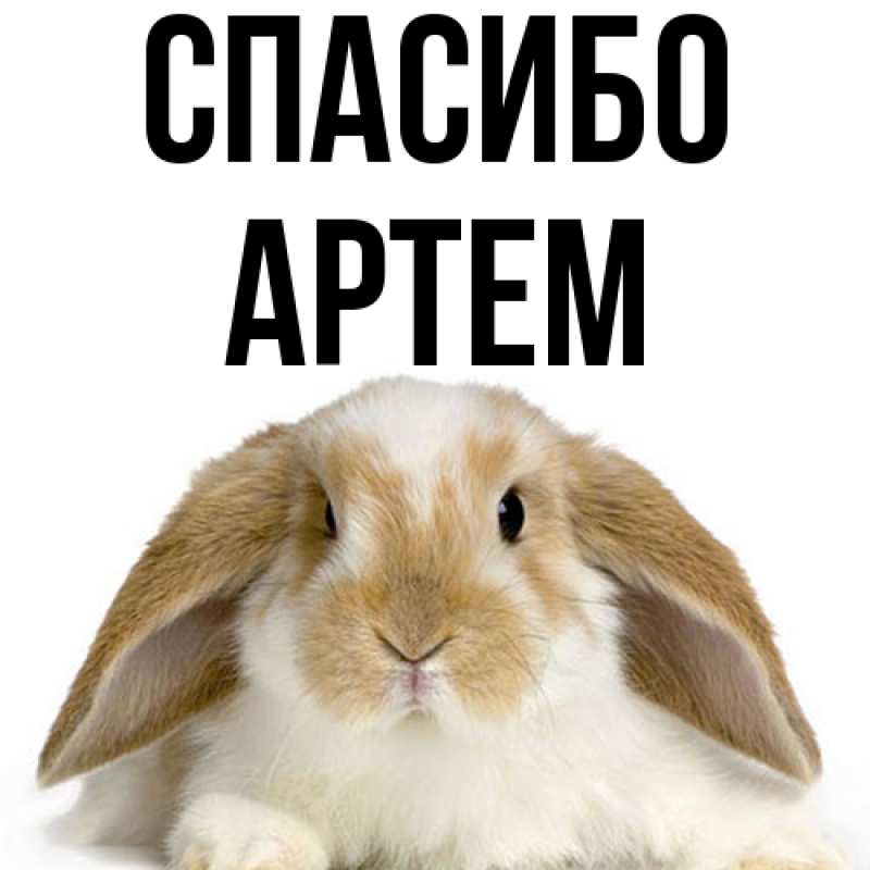 Картинка Спасибо, Артем