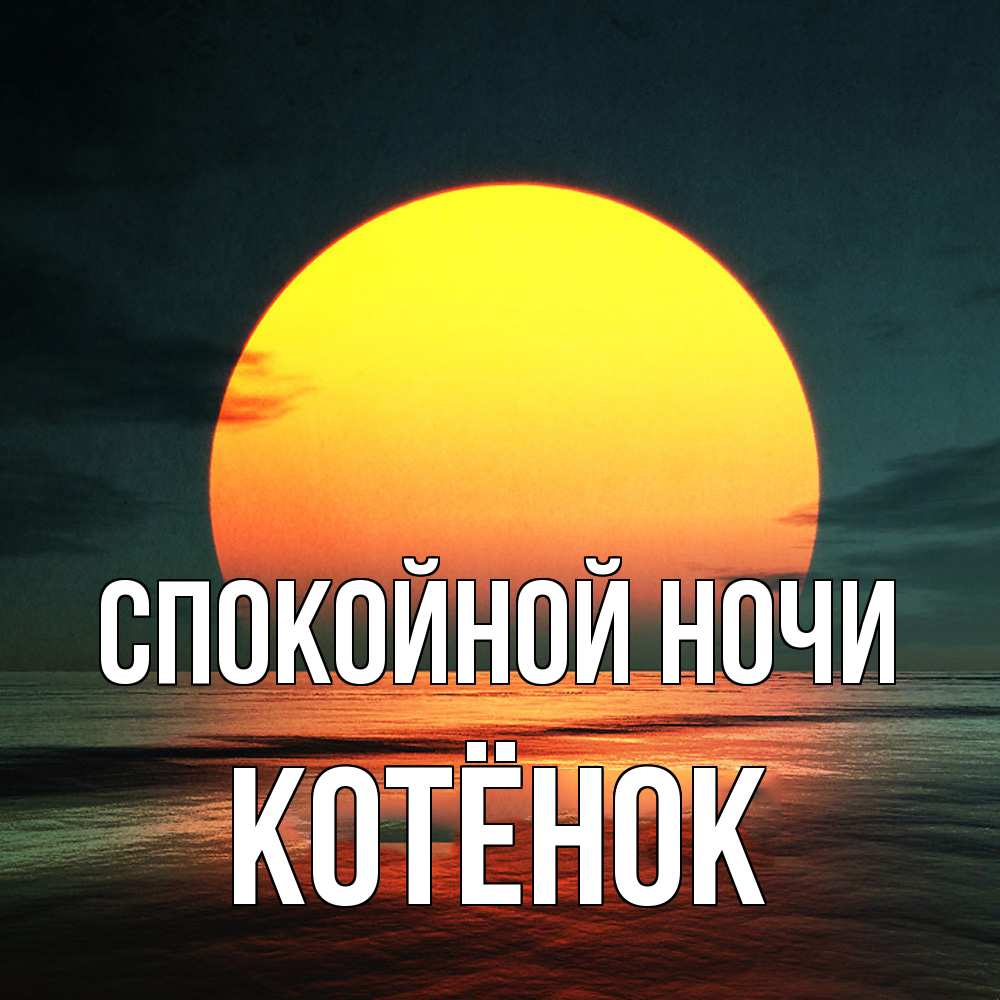 Открытка на каждый день с именем, Котёнок Спокойной ночи огромный диск солнц Прикольная открытка с пожеланием онлайн скачать бесплатно 