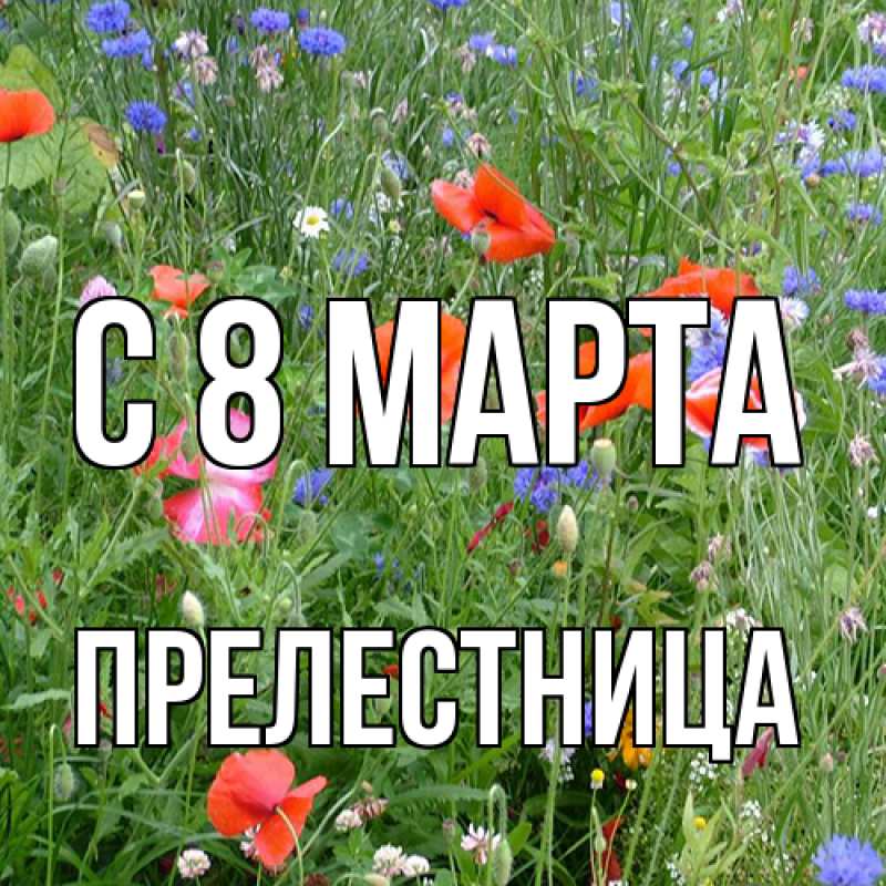 Картинка C 8 МАРТА, Прелестница
