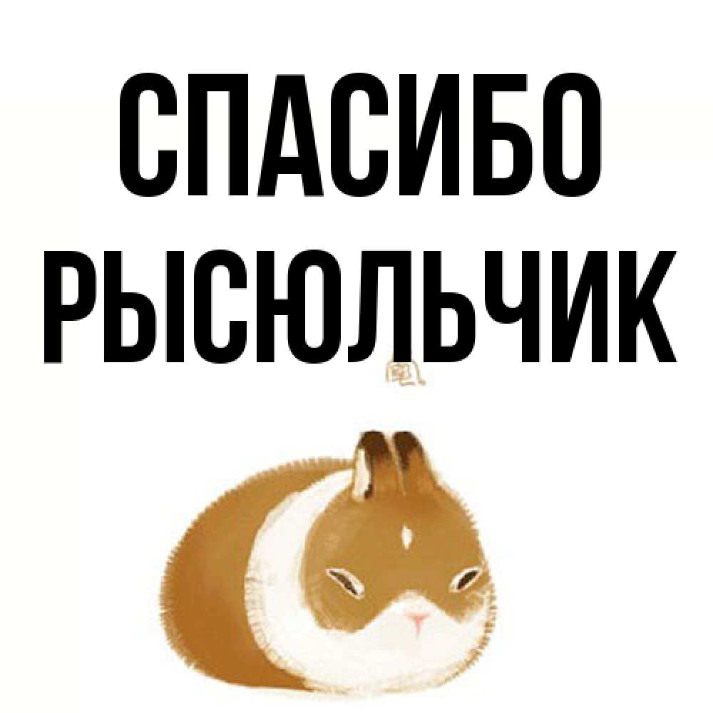 Открытка на каждый день с именем, Рысюльчик Спасибо коричнево белый домашний питомец Прикольная открытка с пожеланием онлайн скачать бесплатно 