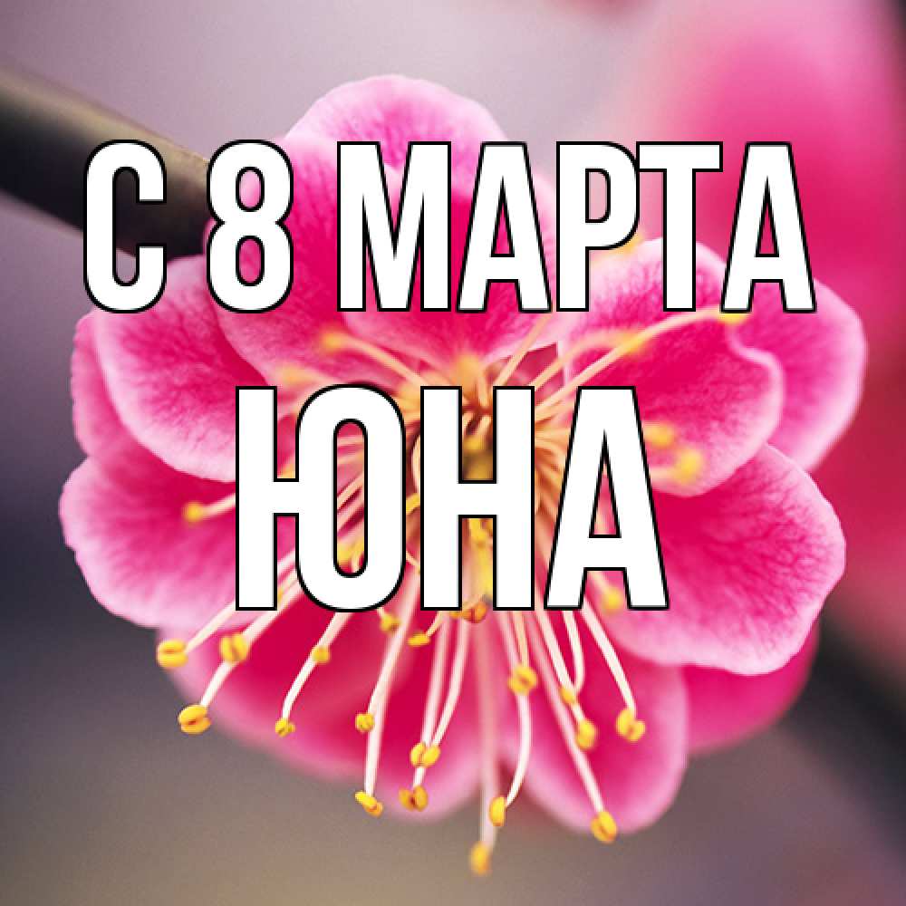 Открытка на каждый день с именем, Юна C 8 МАРТА цветы Прикольная открытка с пожеланием онлайн скачать бесплатно 
