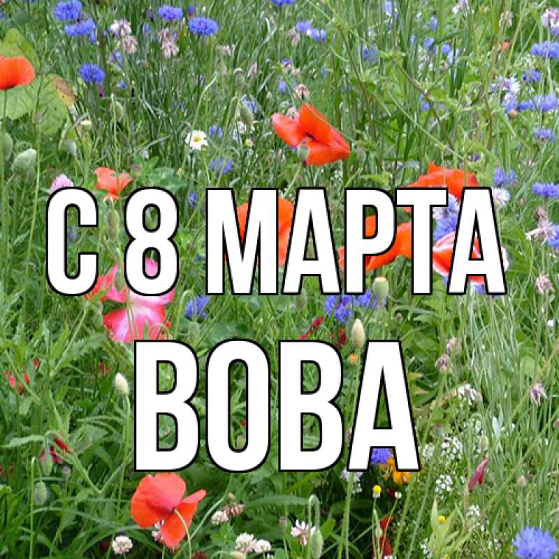 Картинка C 8 МАРТА, Вова