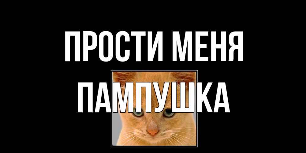 Открытка на каждый день с именем, Пампушка Прости меня рыжий грустный кот просит прощения Прикольная открытка с пожеланием онлайн скачать бесплатно 