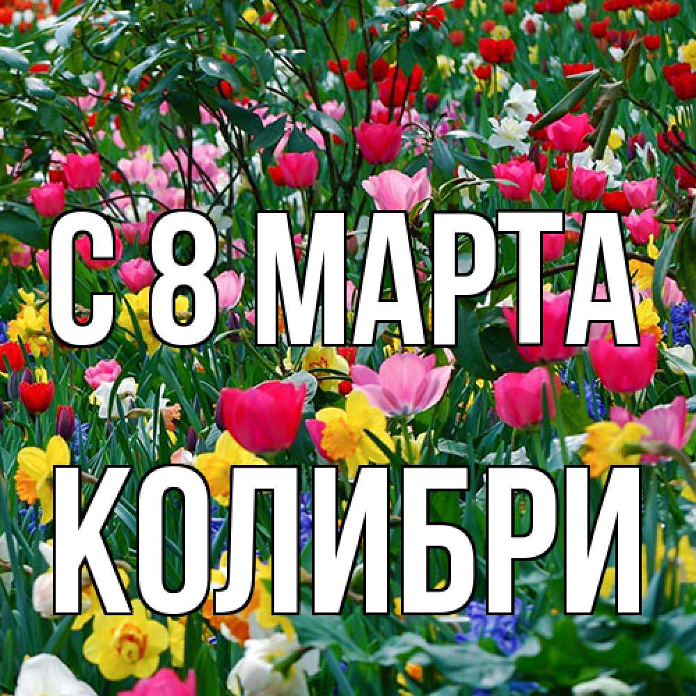 Открытка на каждый день с именем, Колибри C 8 МАРТА с международным женским днем поздравления для женщины Прикольная открытка с пожеланием онлайн скачать бесплатно 