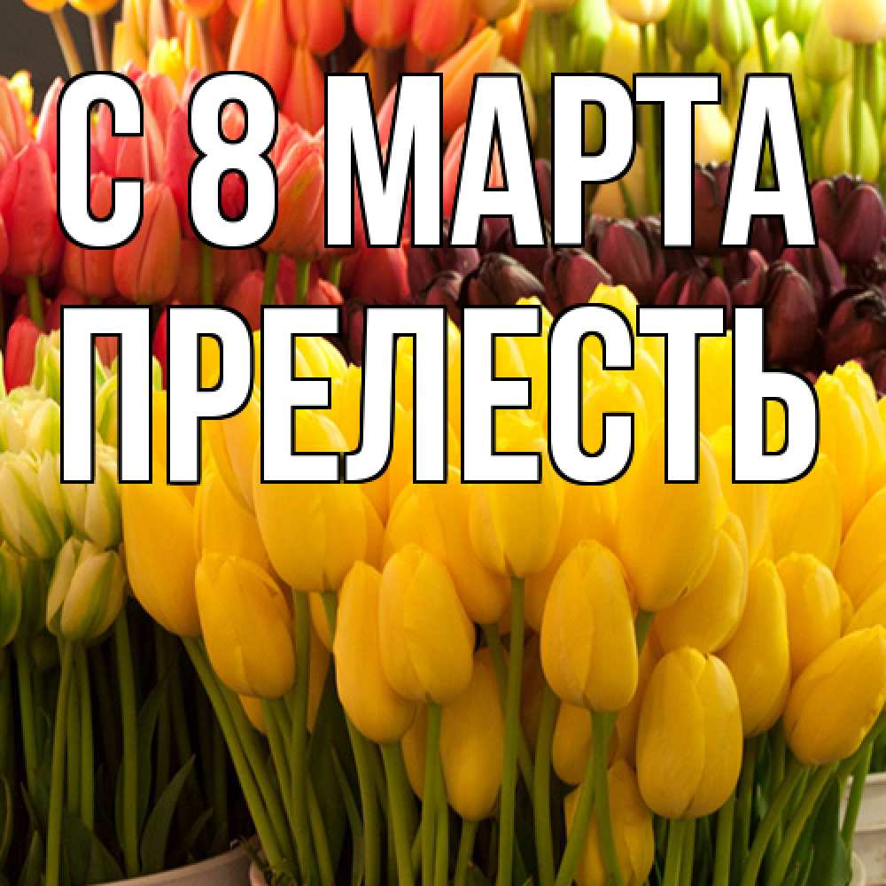 Открытка на каждый день с именем, прелесть C 8 МАРТА цветы Прикольная открытка с пожеланием онлайн скачать бесплатно 
