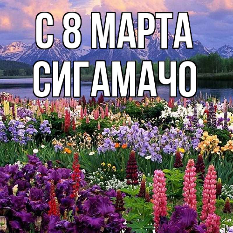 Картинка C 8 МАРТА, Сигамачо