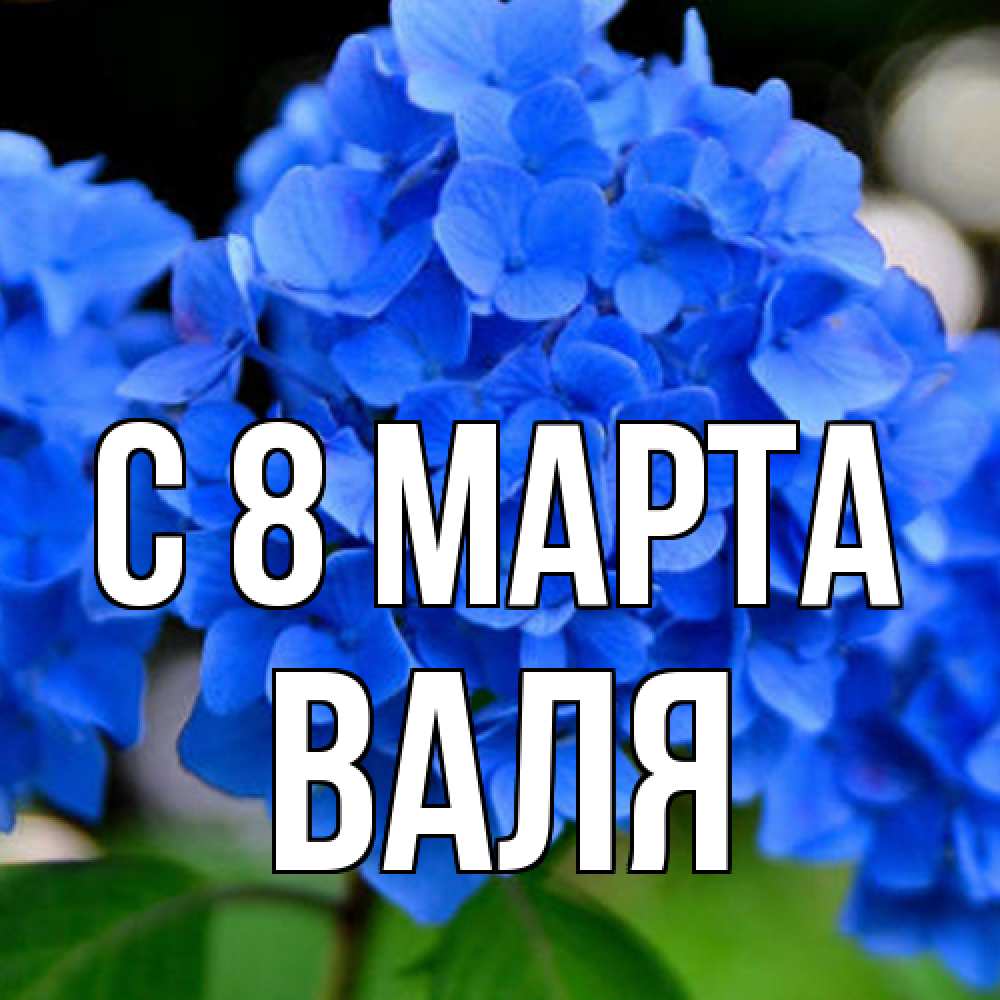 Открытка на каждый день с именем, Валя C 8 МАРТА синие цветы Прикольная открытка с пожеланием онлайн скачать бесплатно 