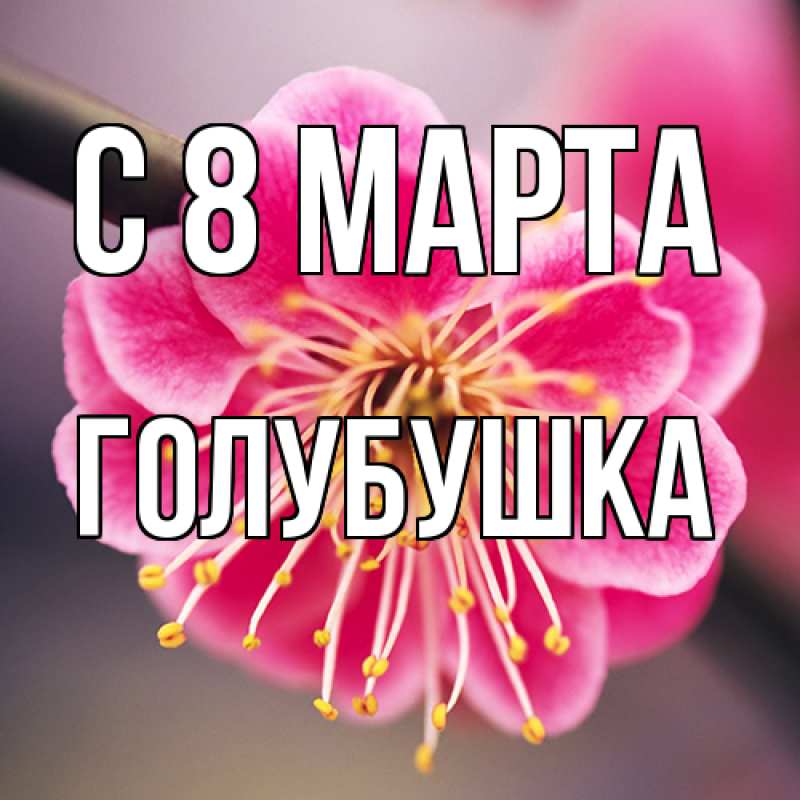 Картинка C 8 МАРТА, Голубушка