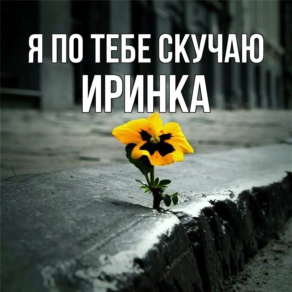 Открытка на каждый день с именем, Иринка Я по тебе скучаю надеюсь будет лучше Прикольная открытка с пожеланием онлайн скачать бесплатно 