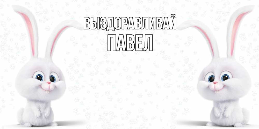 Открытка на каждый день с именем, Павел Выздоравливай не болей с зайцем Прикольная открытка с пожеланием онлайн скачать бесплатно 