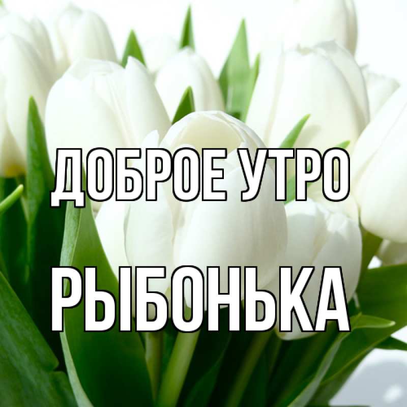 Картинка Доброе утро, Рыбонька