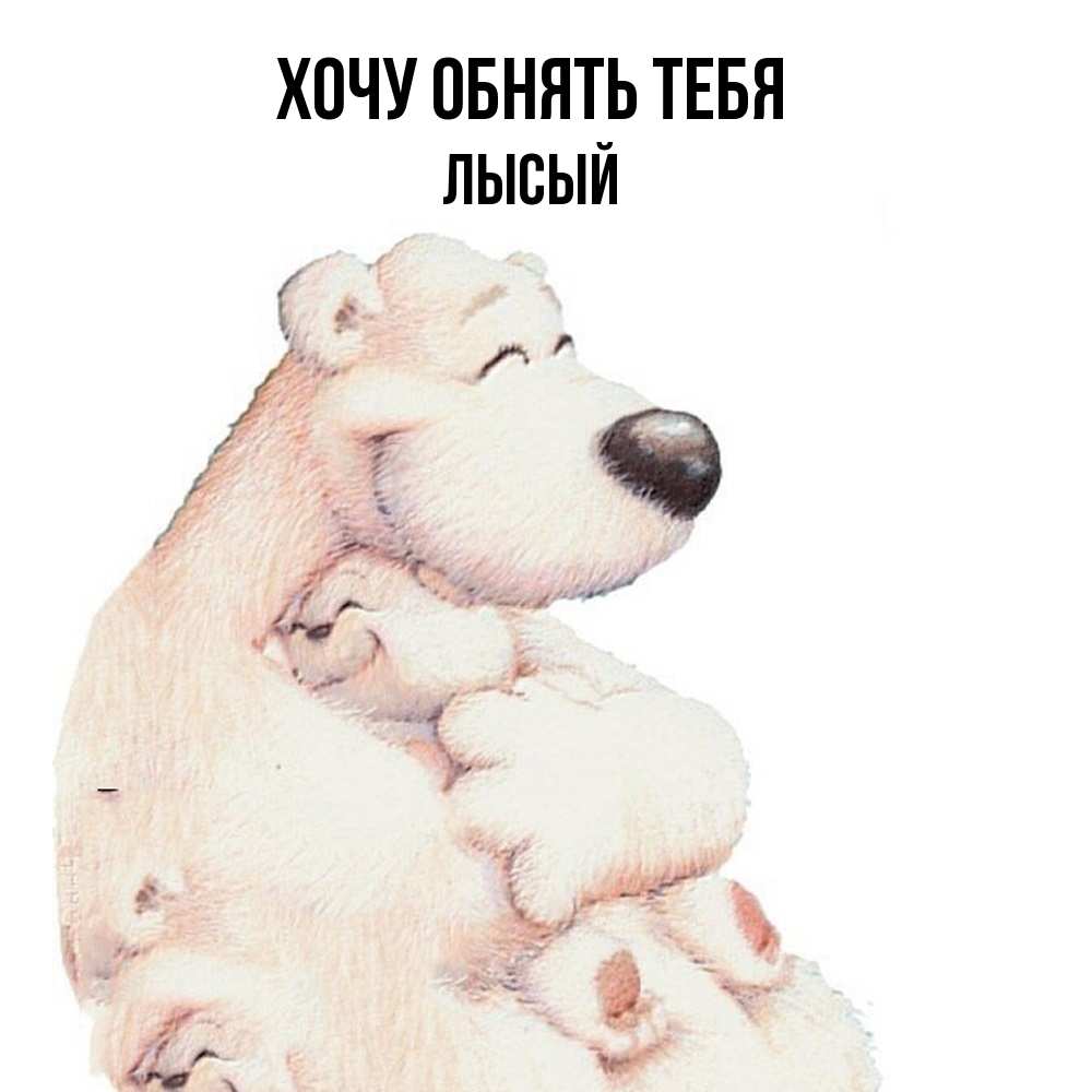 Открытка на каждый день с именем, Лысый Хочу обнять тебя мама белый медведь Прикольная открытка с пожеланием онлайн скачать бесплатно 