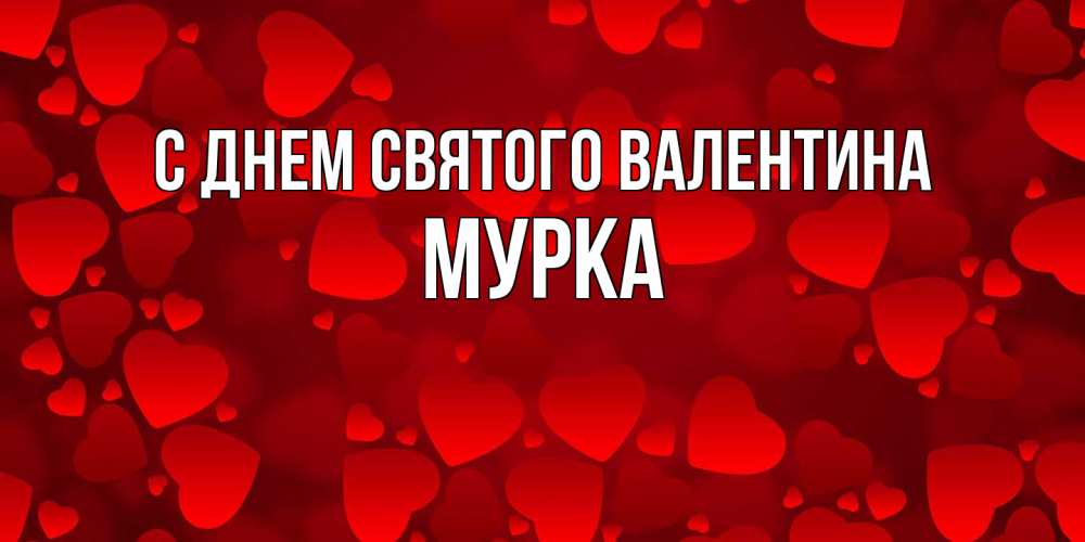 Открытка на каждый день с именем, Мурка С днем Святого Валентина новые бесплатные открытки на 14 февраля, день всех влюбленных Прикольная открытка с пожеланием онлайн скачать бесплатно 