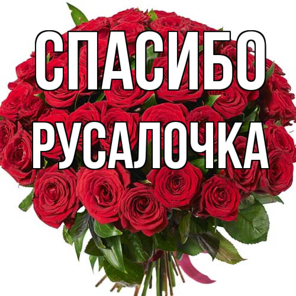 Открытка на каждый день с именем, Русалочка Спасибо букет красных роз Прикольная открытка с пожеланием онлайн скачать бесплатно 