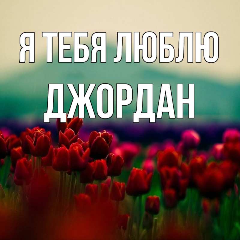 Картинка Я тебя люблю, Джордан