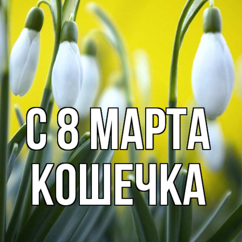 Картинка C 8 МАРТА, кошечка