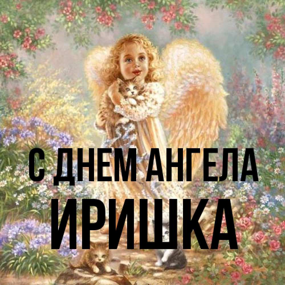 Открытка на каждый день с именем, Иришка С днем ангела держит котенка Прикольная открытка с пожеланием онлайн скачать бесплатно 