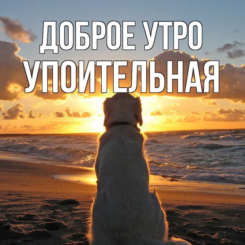 Картинка Доброе утро, Упоительная
