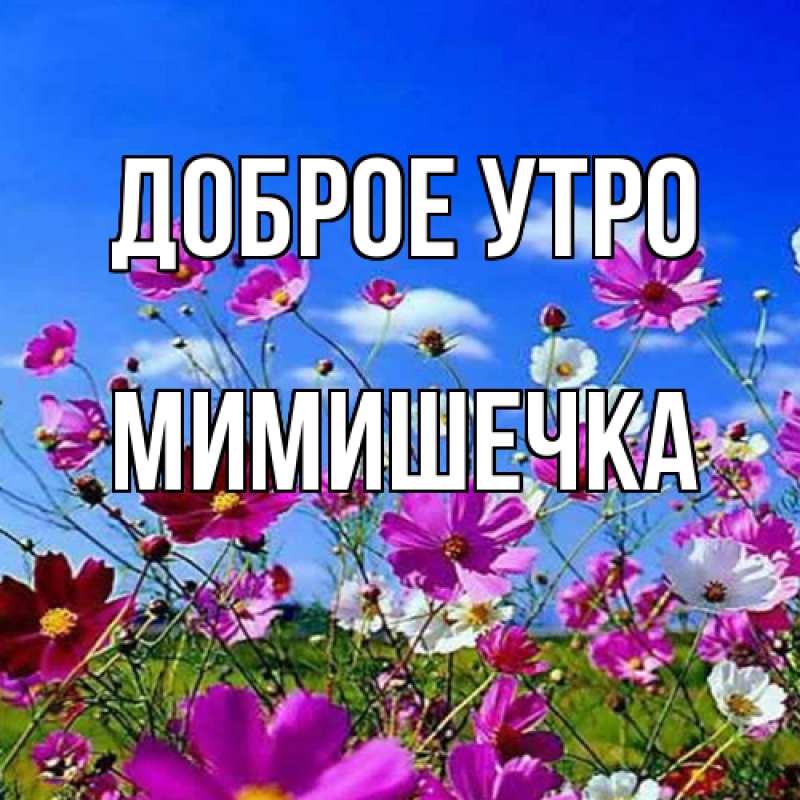 Картинка Доброе утро, мимишечка