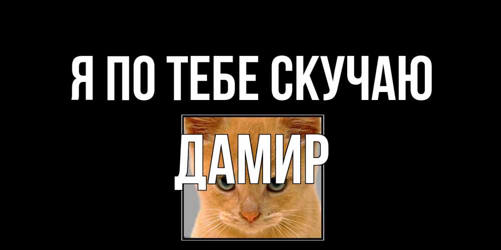 Открытка на каждый день с именем, Дамир Я по тебе скучаю открытки рыжий котенок скучает по тебе Прикольная открытка с пожеланием онлайн скачать бесплатно 