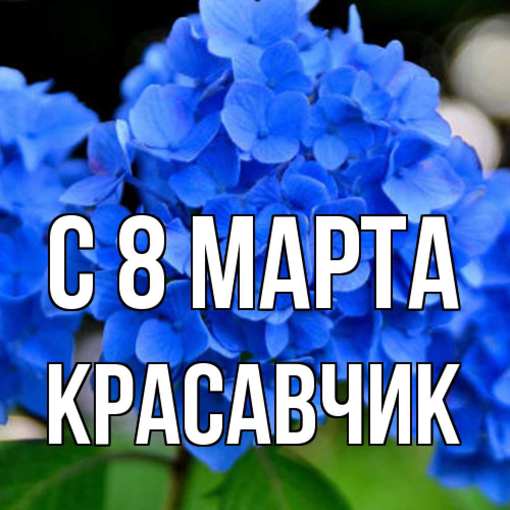 Открытка на каждый день с именем, Красавчик C 8 МАРТА синие цветы Прикольная открытка с пожеланием онлайн скачать бесплатно 