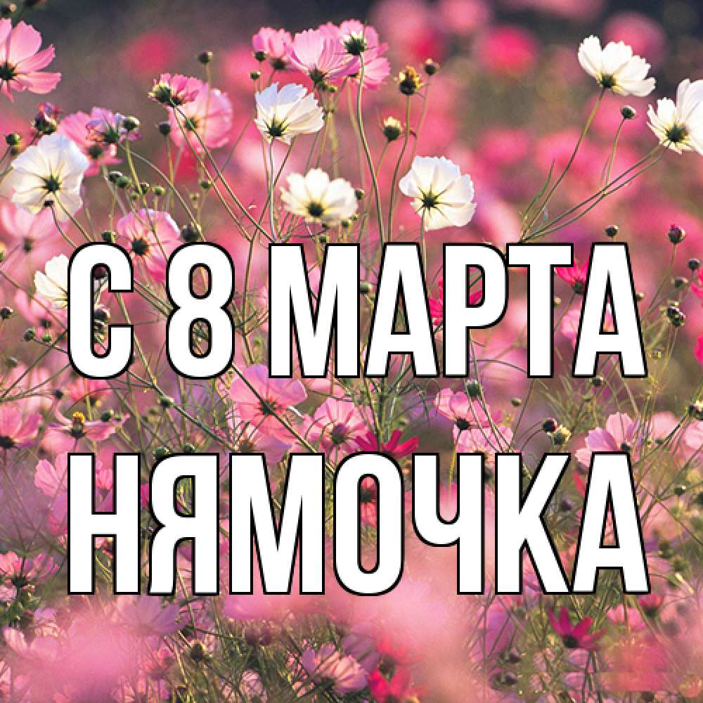 Открытка на каждый день с именем, нямочка C 8 МАРТА красиво 1 Прикольная открытка с пожеланием онлайн скачать бесплатно 