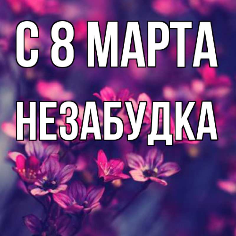 Картинка C 8 МАРТА, Незабудка