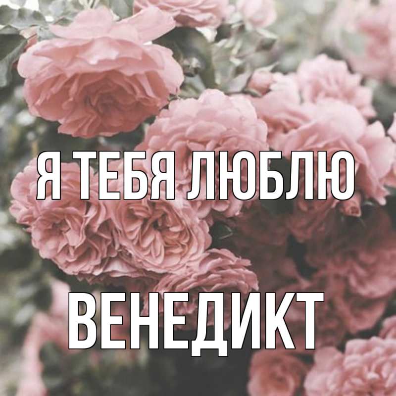 Картинка Я тебя люблю, Венедикт