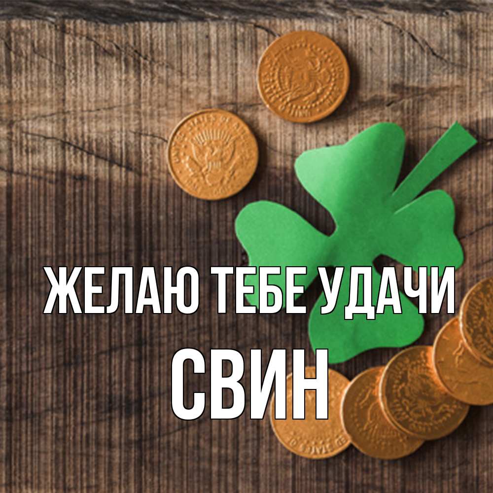 Открытка на каждый день с именем, Свин Желаю тебе удачи на удачу сегодня Прикольная открытка с пожеланием онлайн скачать бесплатно 