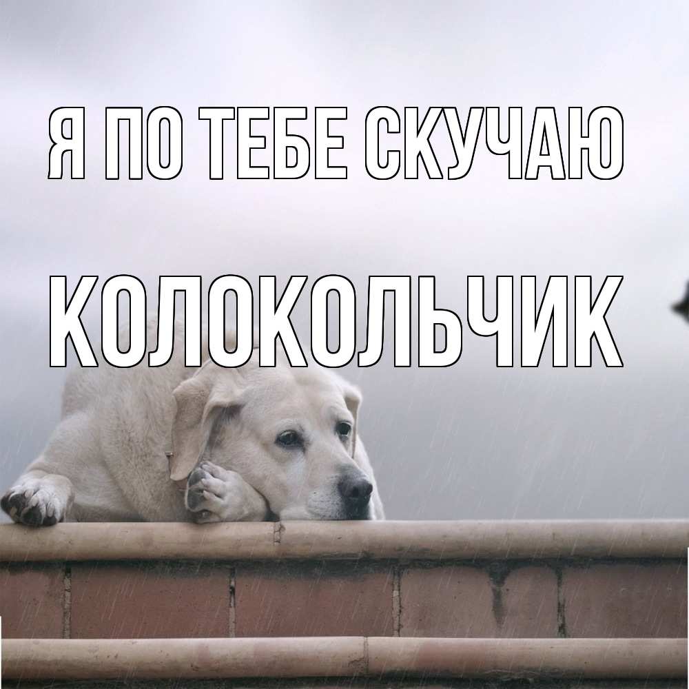 Открытка на каждый день с именем, Колокольчик Я по тебе скучаю ждет Прикольная открытка с пожеланием онлайн скачать бесплатно 