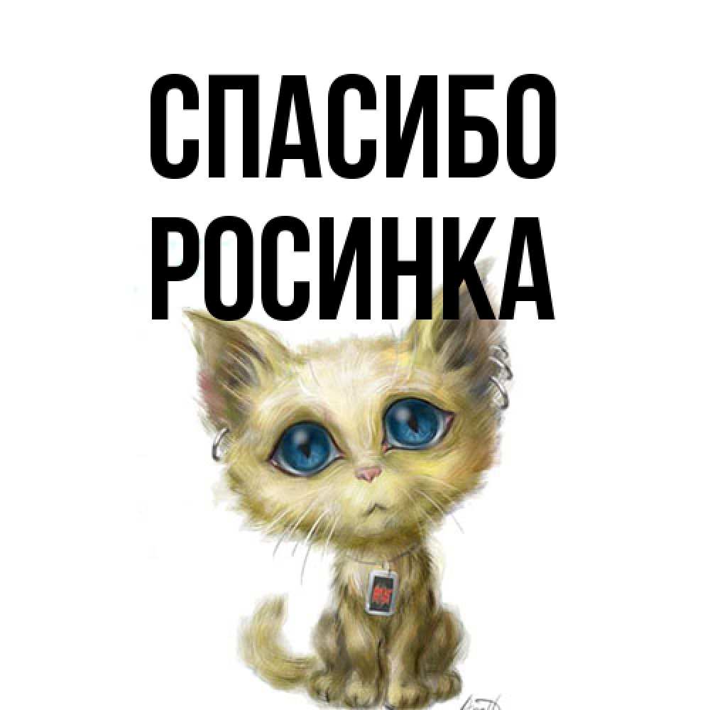 Открытка на каждый день с именем, Росинка Спасибо рисованный кот благодарит вас Прикольная открытка с пожеланием онлайн скачать бесплатно 