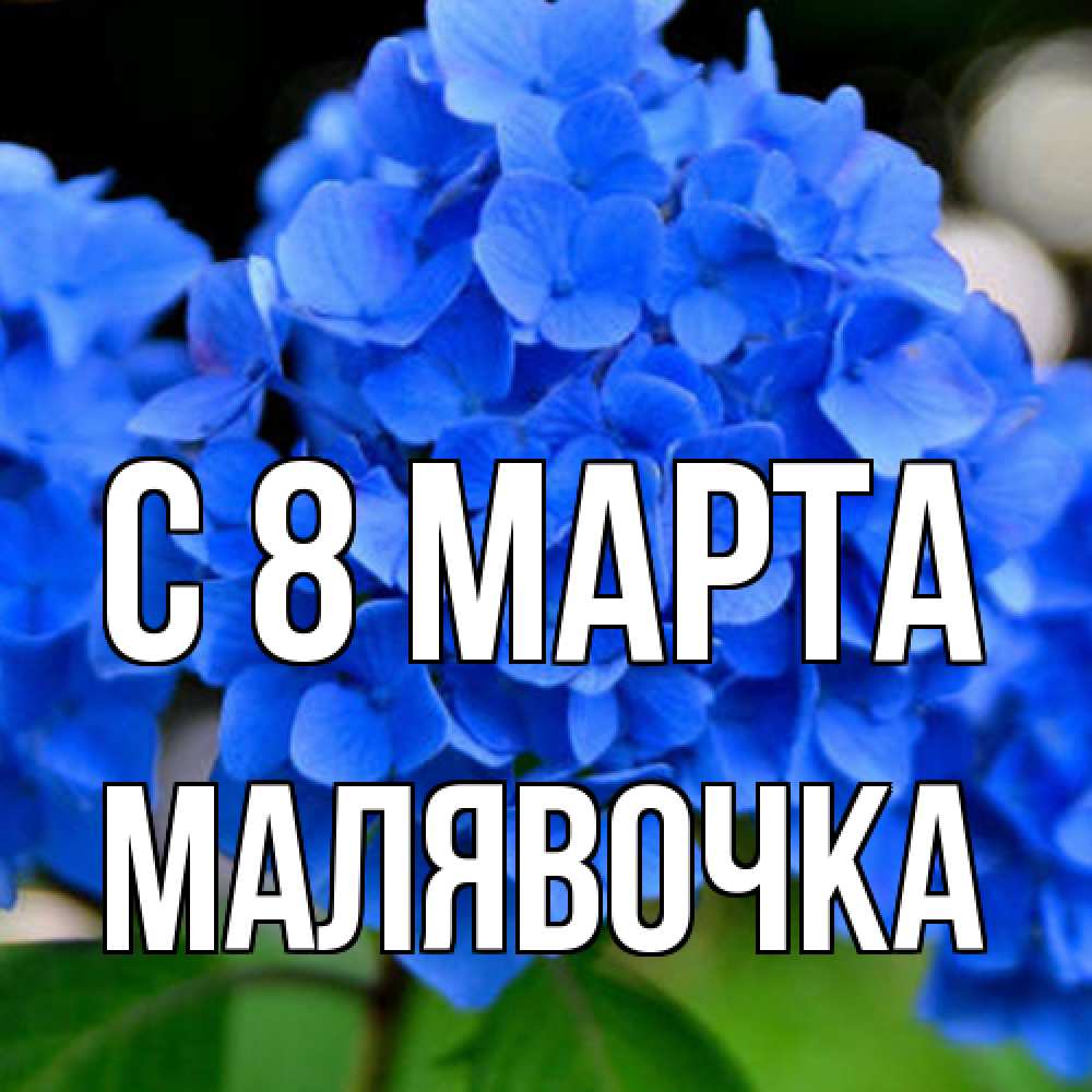 Открытка на каждый день с именем, малявочка C 8 МАРТА синие цветы Прикольная открытка с пожеланием онлайн скачать бесплатно 