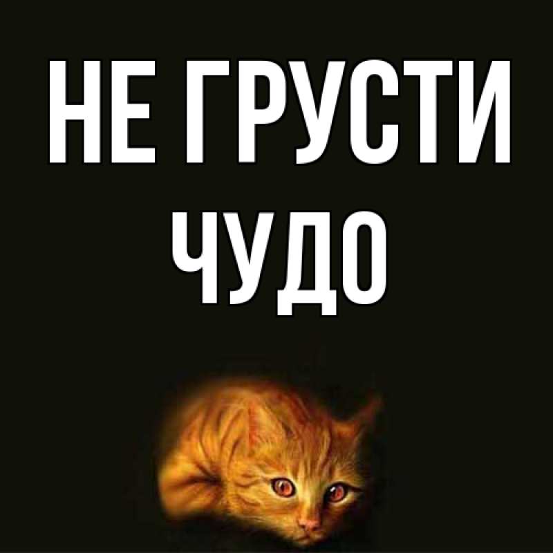 Картинка Не грусти, Чудо