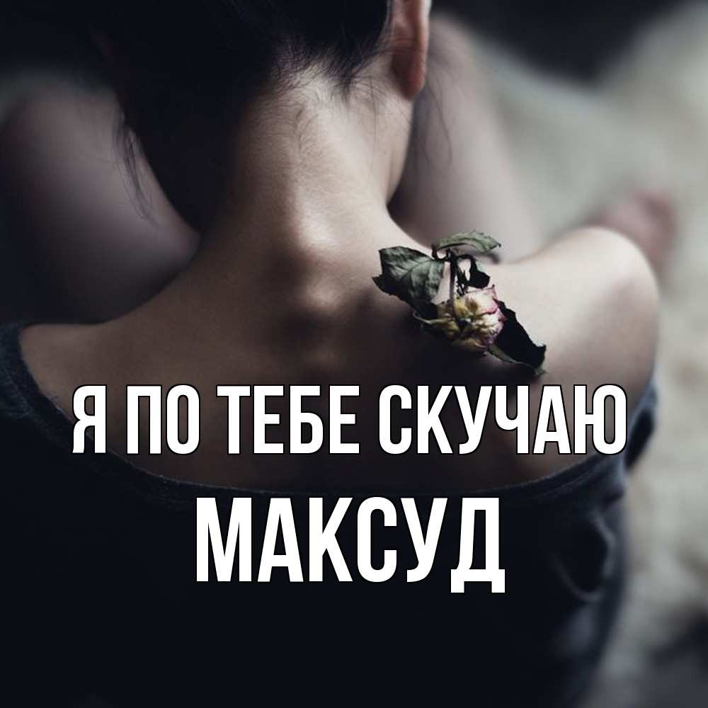 Открытка на каждый день с именем, Максуд Я по тебе скучаю засох цветок Прикольная открытка с пожеланием онлайн скачать бесплатно 