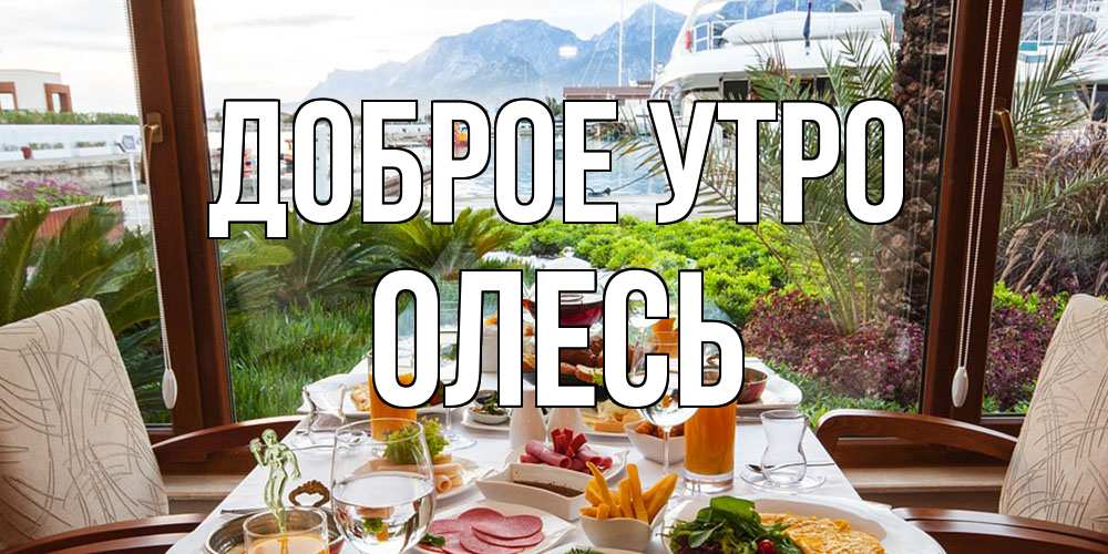 Открытка на каждый день с именем, Олесь Доброе утро тропическое утро Прикольная открытка с пожеланием онлайн скачать бесплатно 