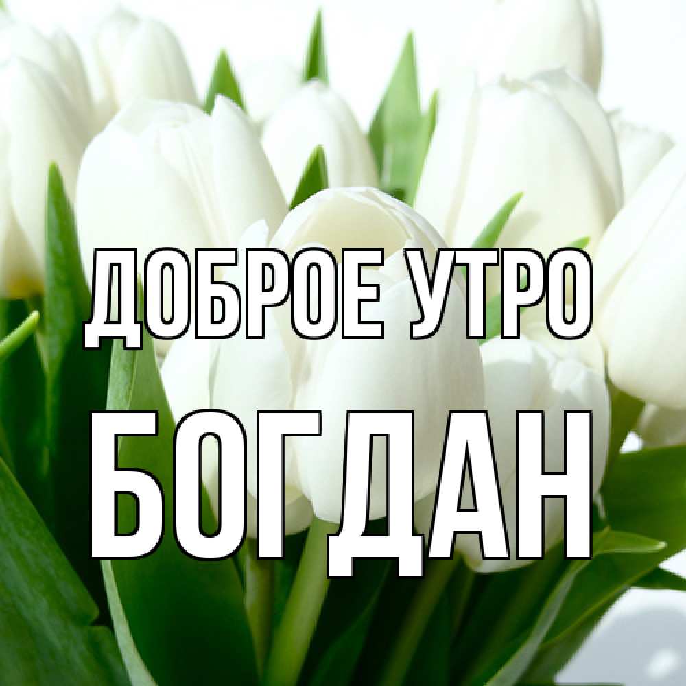 Открытка на каждый день с именем, Богдан Доброе утро открытки на каждый день по именам Прикольная открытка с пожеланием онлайн скачать бесплатно 