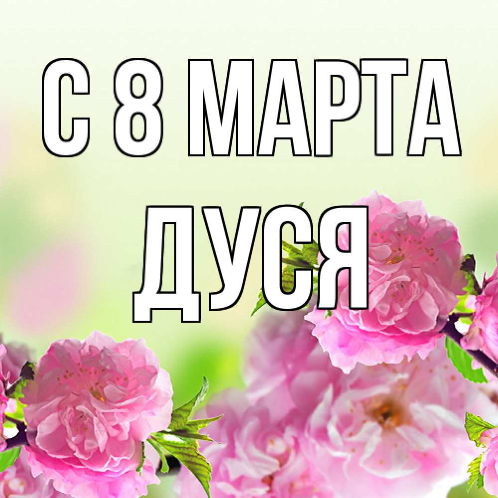 Открытка на каждый день с именем, Дуся C 8 МАРТА цветы Прикольная открытка с пожеланием онлайн скачать бесплатно 