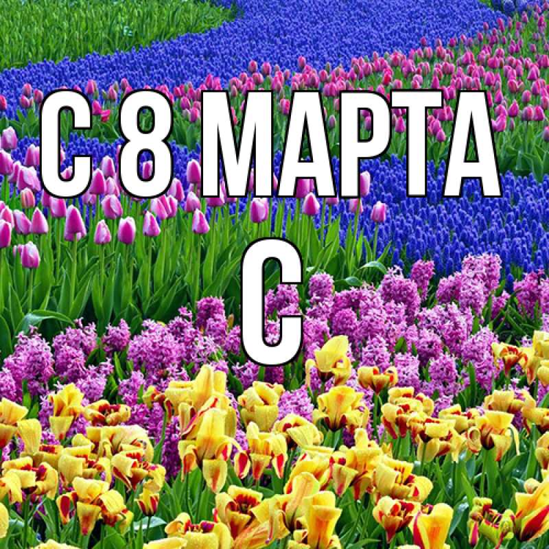 Картинка C 8 МАРТА, С