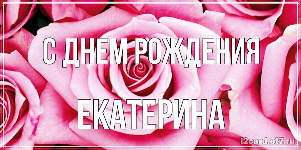 Открытка на каждый день с именем, Екатерина С днем рождения открытка с розовой розой на день рождения Прикольная открытка с пожеланием онлайн скачать бесплатно 
